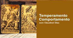 Imagem publica da oficina Temperamento